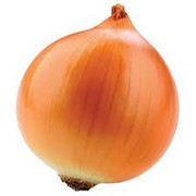 Oignon jaune bio