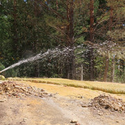 IMG 0492