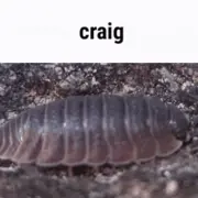 craig
