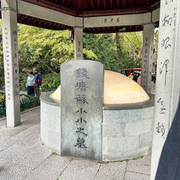 西湖8