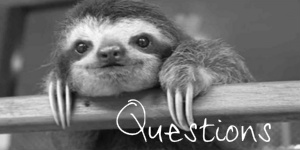 questions25.jpg