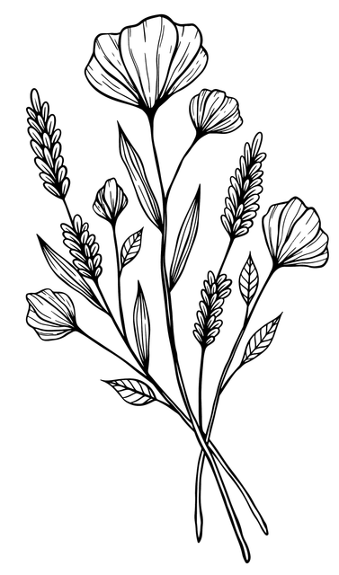 d1e213e441ca0b0b6b3e04ebb05dee79.png