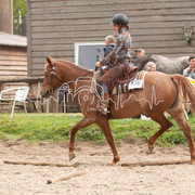 IMG-6754