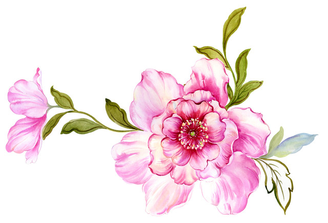 Adobe-Stock-393313682