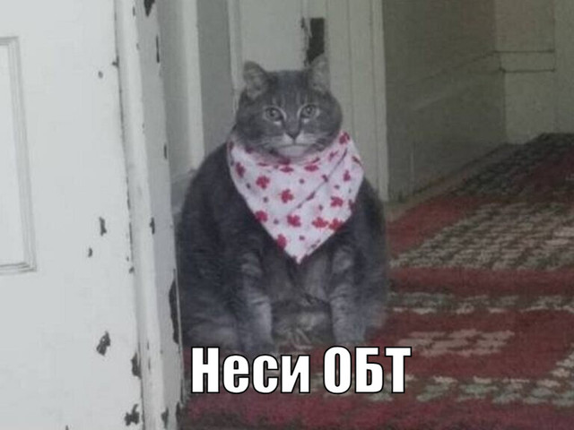 meme.jpg