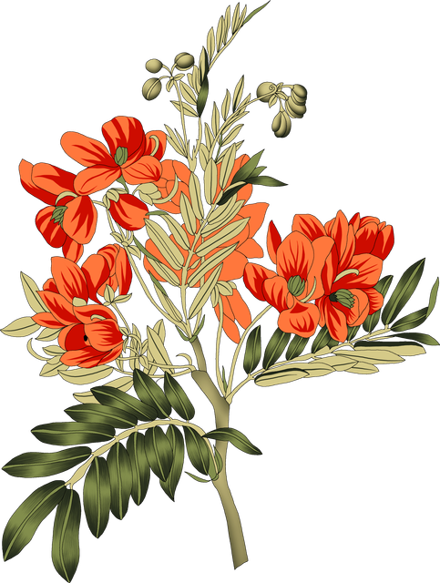 ecce9e1cbc9c655eb9166f7a1fd63ac5.png