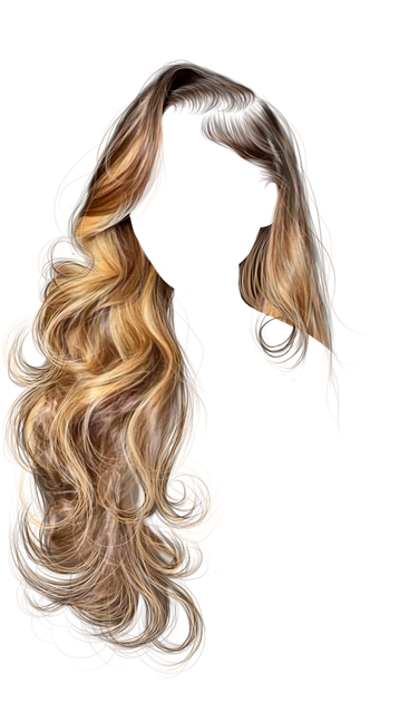 Untitled281 20240628175217.png