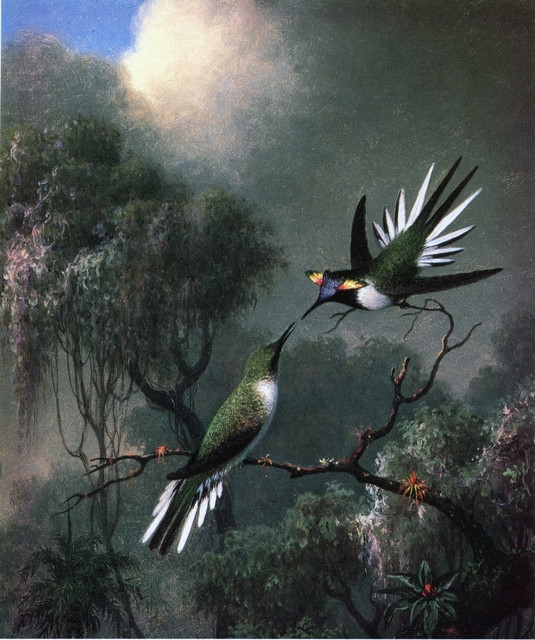 Two-Hummingbirds.jpg