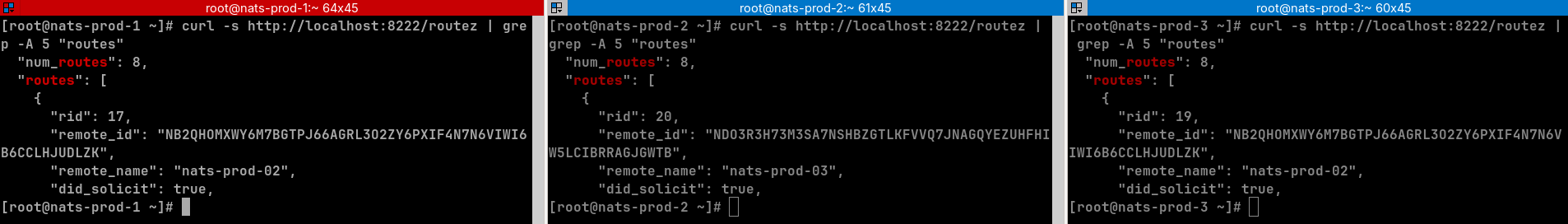NATS Clustered Routes NATS cluster routing table verification across nodes