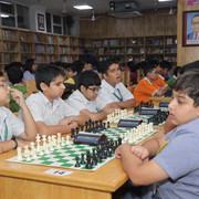 IMG 0239