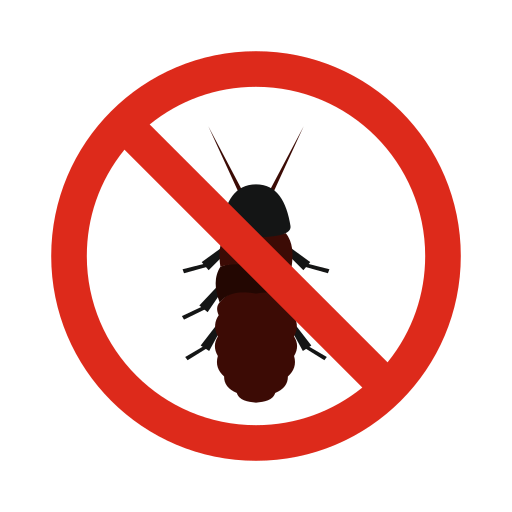 Rayap (Termite)