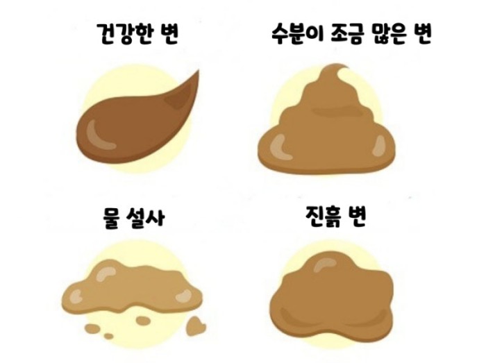 설사
