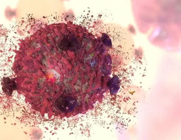 New Cancer Therapy Targets Cell Waste Disposal