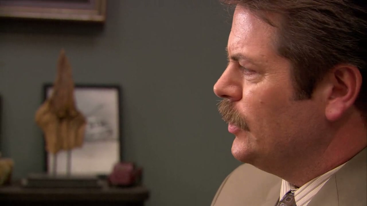 Parks and Recreation Screenshot