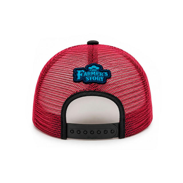 GOKNFARSTROREGROS 4