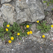 IMG 8716