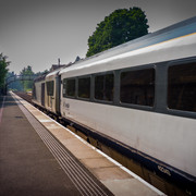 L1461414