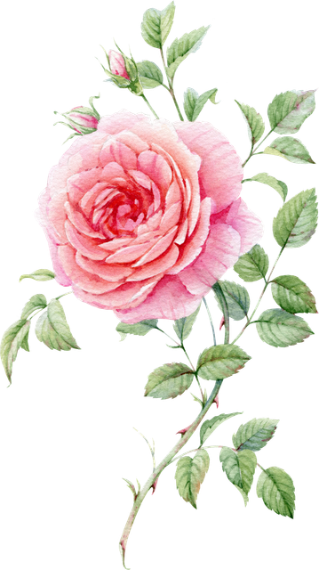 2c6e5ef46102d4a0c59c95a4e555c9d9.png