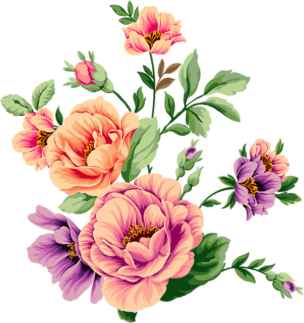shutterstock 1629512761.jpg