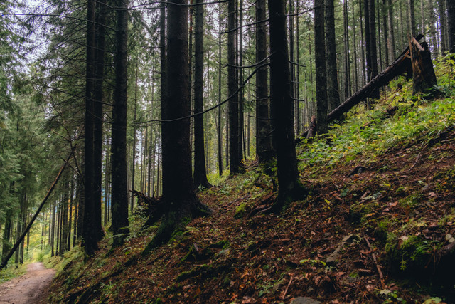 DSCF8113 копия