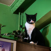 IMG 20260503 044022