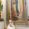 IMG 8561