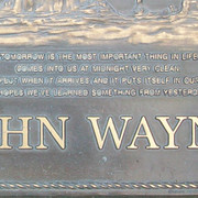 waynegraveclose