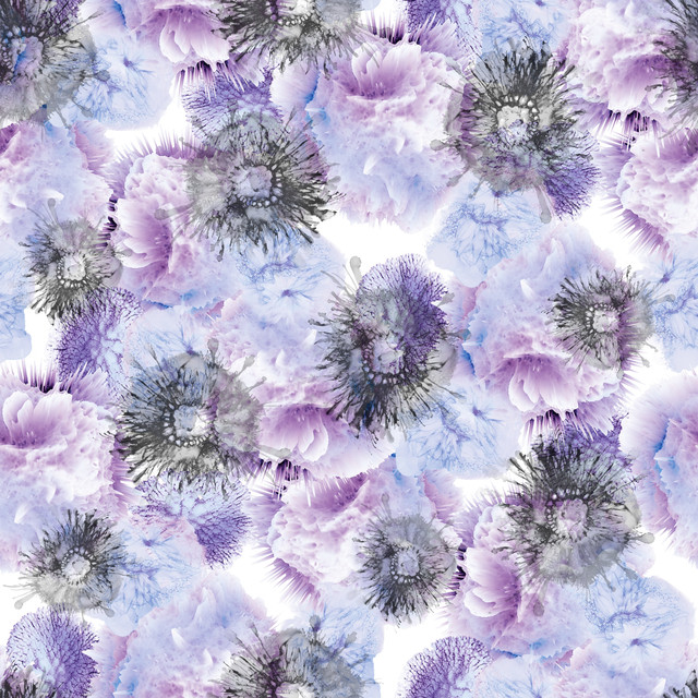 shutterstock 2521912265.jpg