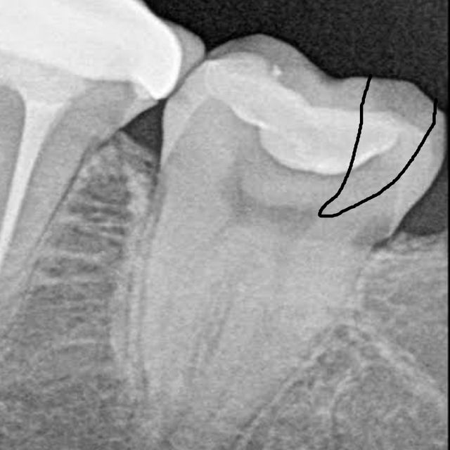 kmc 20261024 115753