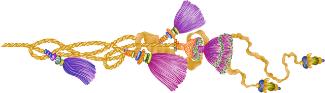 cf1e0a499f7404c128d5bb28293bcd42.png