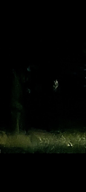 Screenshot-20251005-083338