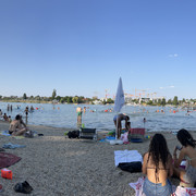 IMG-0239
