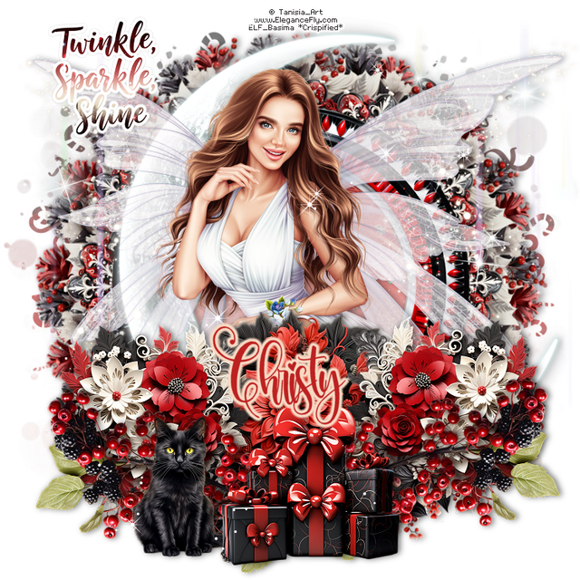 Christy CM2Gothic F.png