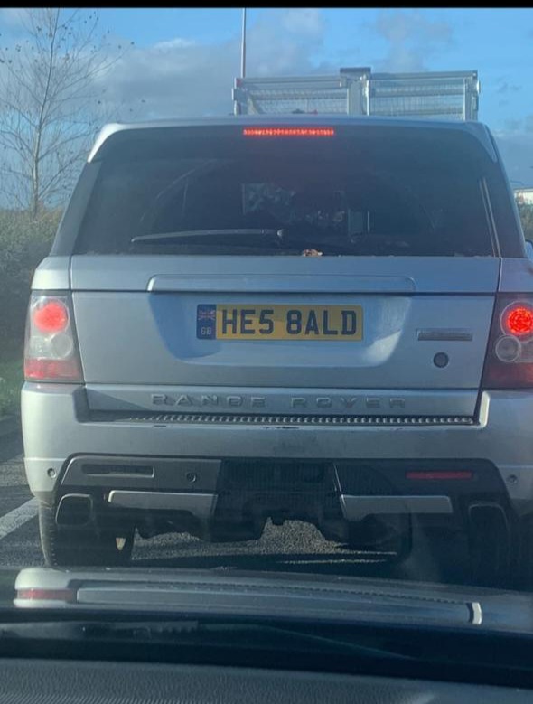 1000012229.jpg