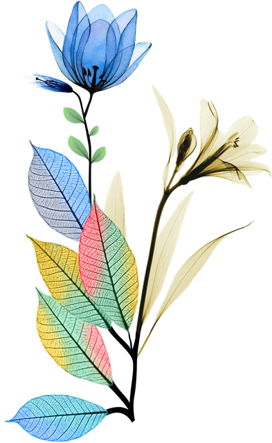 ccdbb51ae6c1c8f2dd09ca0b90ee9d1f.png