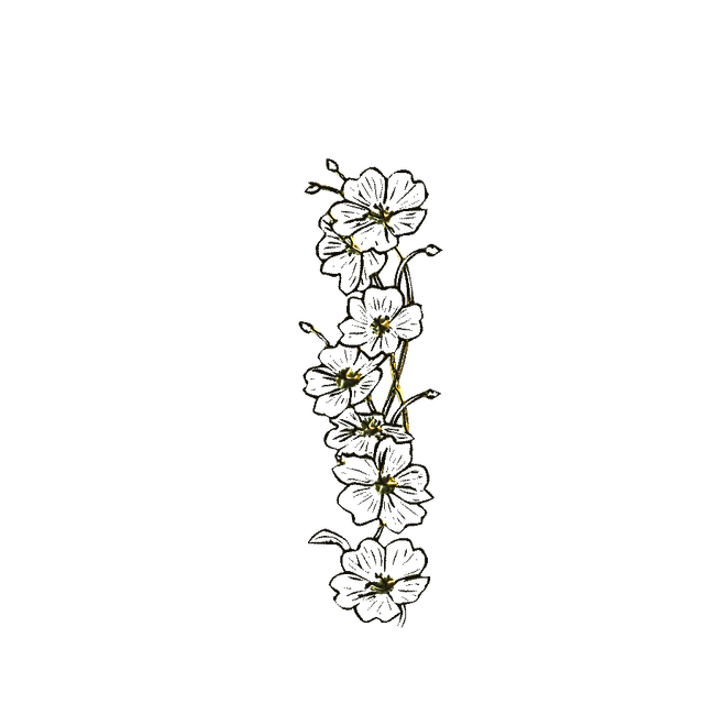 MS-gold-element-70.png