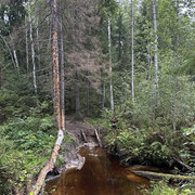 IMG 4470