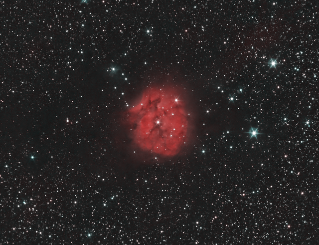 ic5146 cocoon cygnus Pix Astro