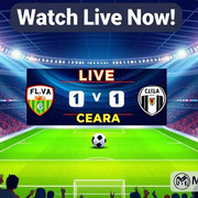 Botafogo-x-Cear
