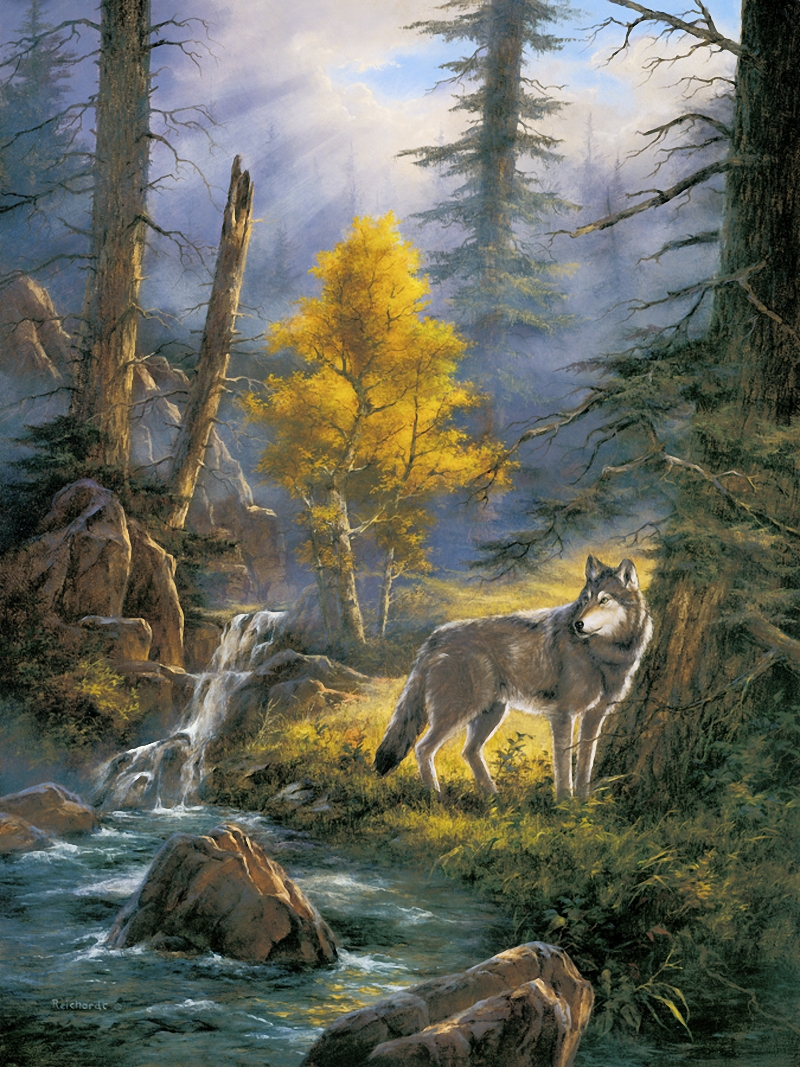 Timber Wolf