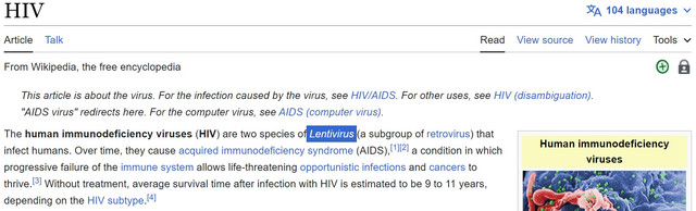 Lentivirus-Example-2
