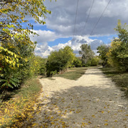 IMG 0352