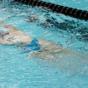 IMG-0499