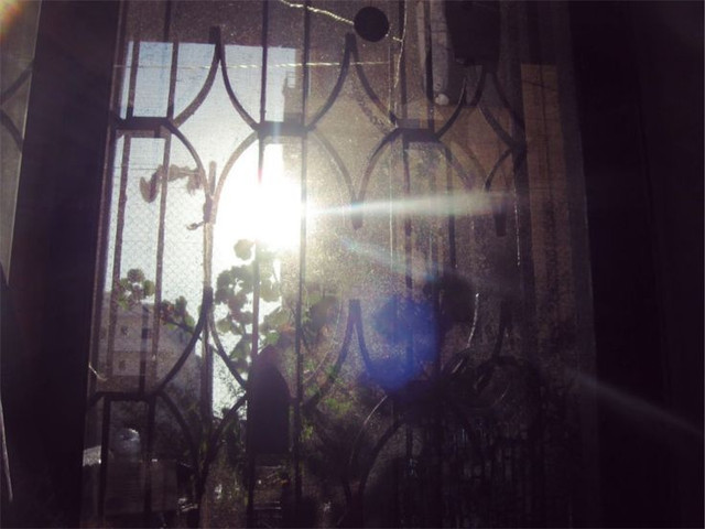 Sunlight