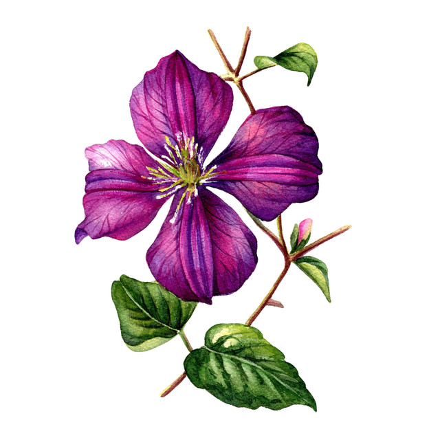 shutterstock-1079237960.jpg