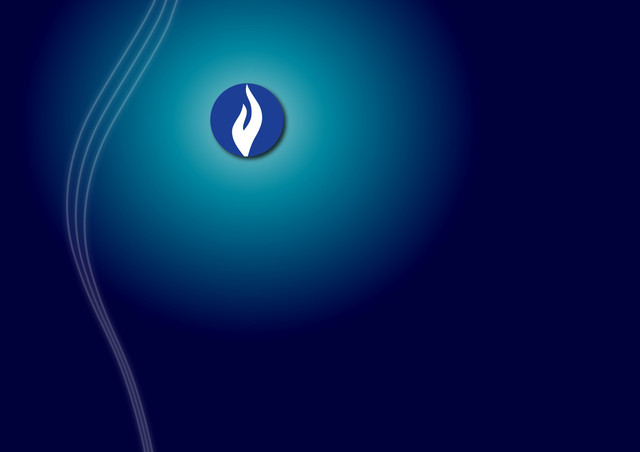 wallpaper 2011.jpg