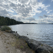 IMG 4561