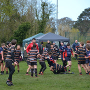 DSC 0718