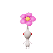 white5 removebg preview