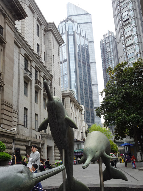 DSC09499.jpg